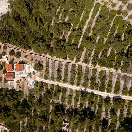 Insula By Belmont Realty * Vela Luka