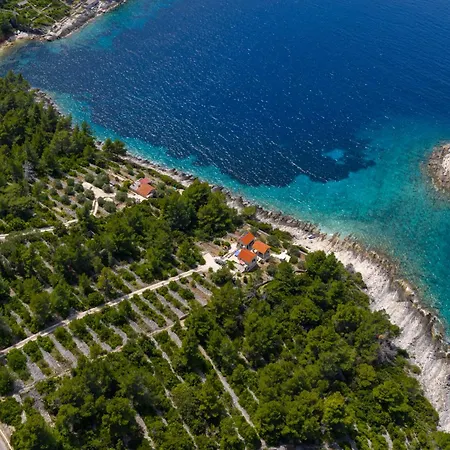 Insula By Belmont Realty *